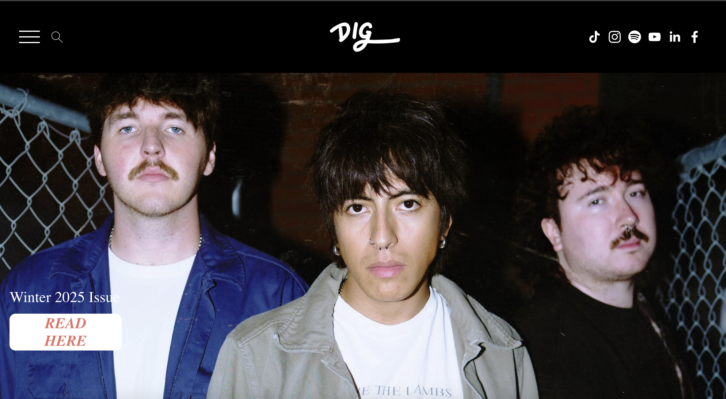 Project preview for DIG Magazine