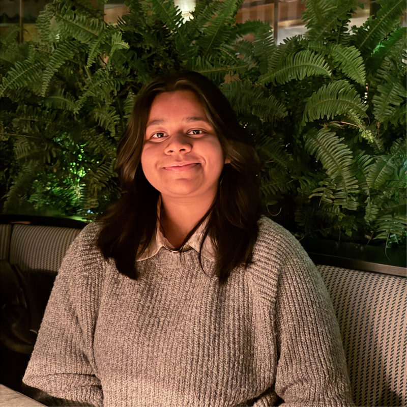 Tasneem Iqbal